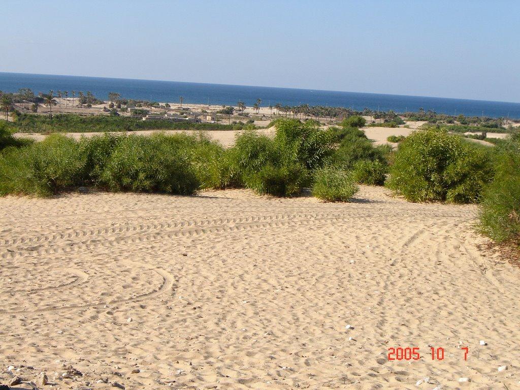 explore beautiful attractions in North Sinai on attenvo