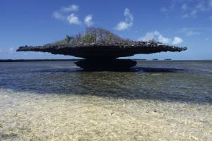 Explore Aldabra Atoll on attenvo