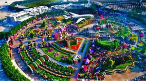 Explore Dubai Miracle Garden on attenvo