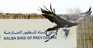 Explore Kalba Bird of Prey Centre on attenvo