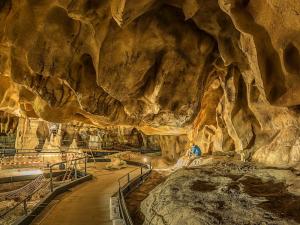Explore Chauvet cave on attenvo
