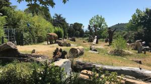 Explore Giardino Zoologico di Pistoia on attenvo