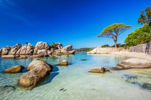 Explore Corsica island on attenvo