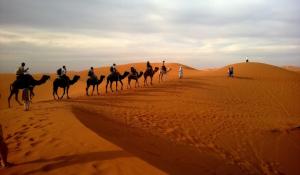 Explore Chalbi Desert on attenvo