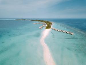 Explore Sand Bank, Kuramathi Island, Maldives on attenvo
