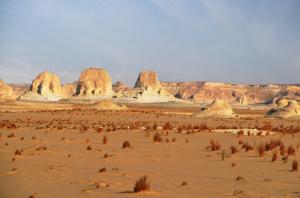 Explore Western Desert on attenvo