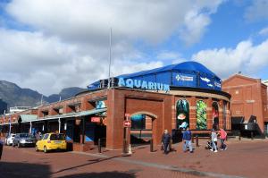 Explore The Two Oceans Aquarium on attenvo