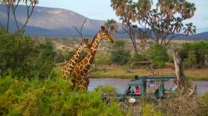Explore Shaba National Reserve on attenvo