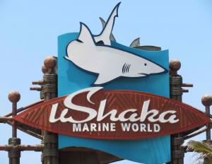Explore uShaka Marine World on attenvo