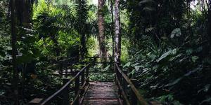 Explore Finima Nature Park on attenvo