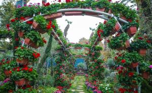 Explore Orman Botanical Garden on attenvo
