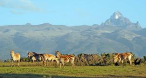 Explore Mount kenya national reserve on attenvo