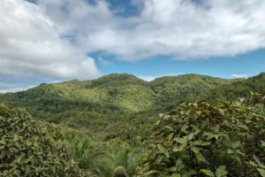 Explore Vallée de Mai National Park on attenvo