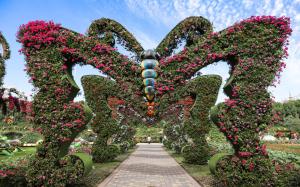 Explore Dubai Butterfly Garden on attenvo