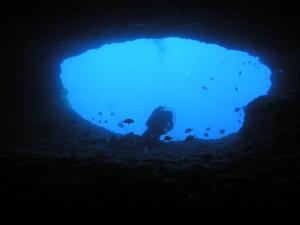 Explore Nereo Cave on attenvo
