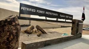 Explore Petrified Forest Protectorate on attenvo
