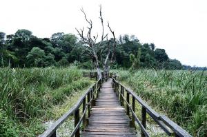 Explore Saiwa swamp national park on attenvo