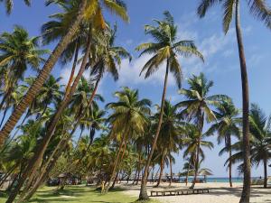 Explore La Campagne Tropicana Beach on attenvo