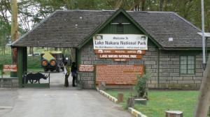 Explore Lake Nakuru National Park on attenvo