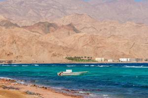 Explore Sinai Peninsula on attenvo
