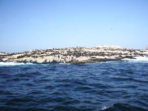 Explore Seal Island on attenvo