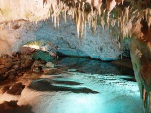 Explore Anemotrypa Cave on attenvo