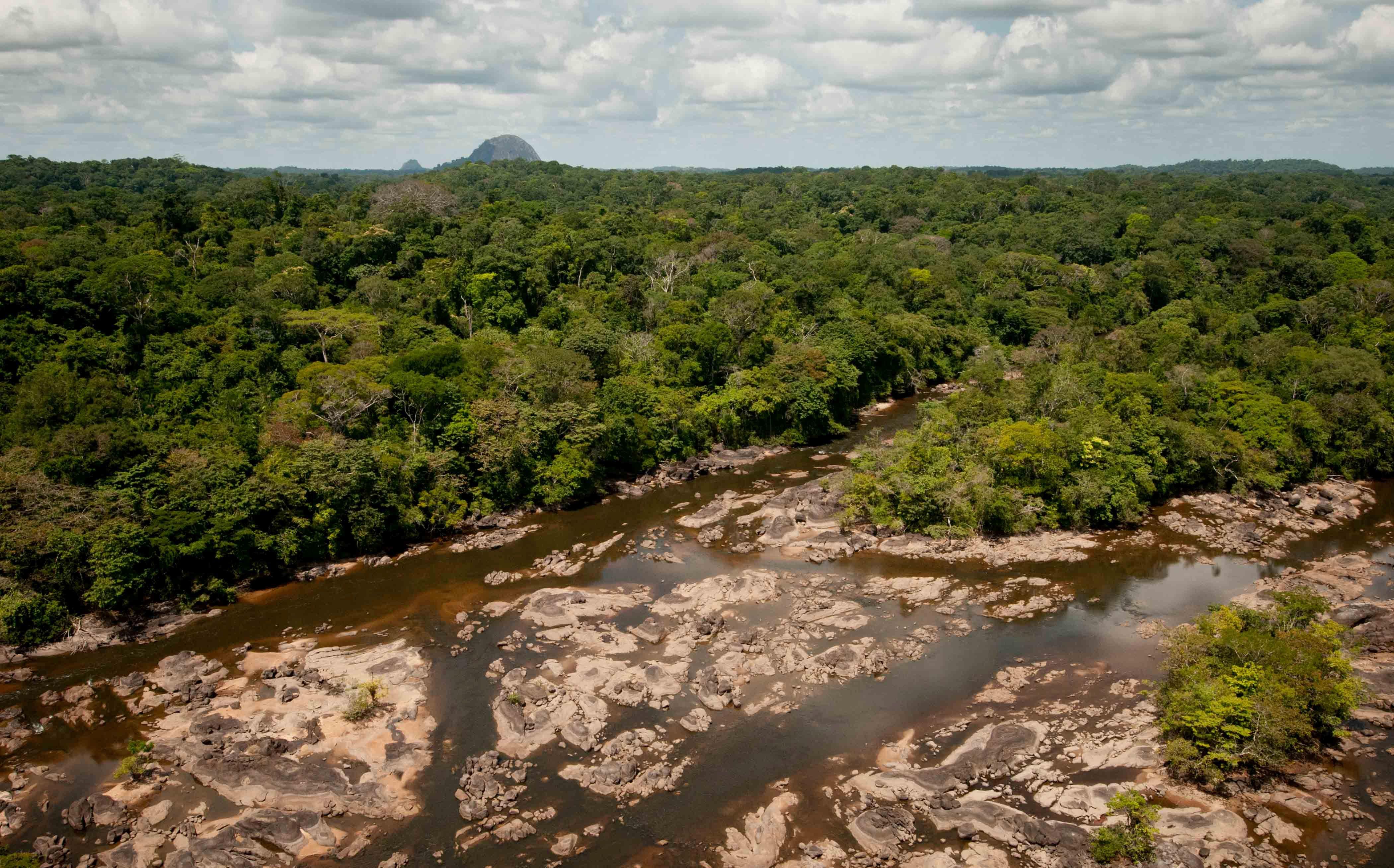 explore Guiana Amazonian Park on attenvo