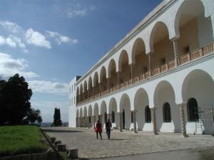 Explore Carthage National Museum on attenvo