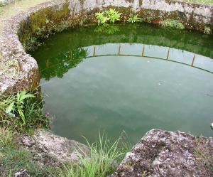 Explore Ancient Bath – Loama Maldives at Maamigili” on attenvo
