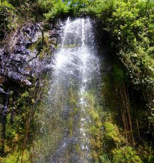 Explore Tigoni Falls on attenvo