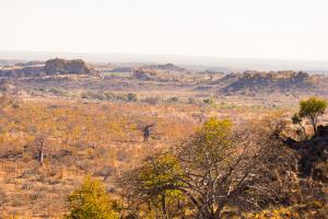 Explore Mapungubwe Cultural Landscape on attenvo
